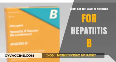 Hepatitis B Vaccines: Essential Immunizations for Prevention and Protection
