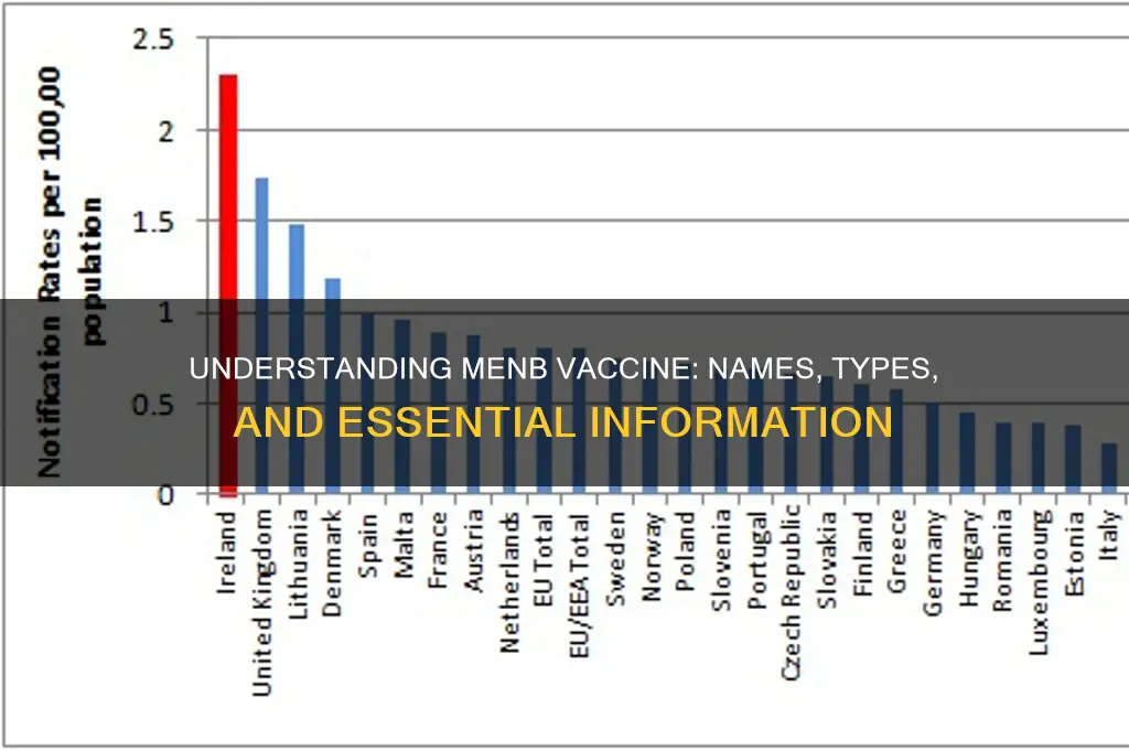 what are the names for men b vaccine
