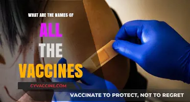 Comprehensive List of All Vaccine Names and Their Purposes Explained
