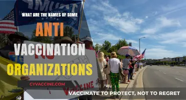 Unveiling Anti-Vaccination Groups: Names and Their Impact on Public Health
