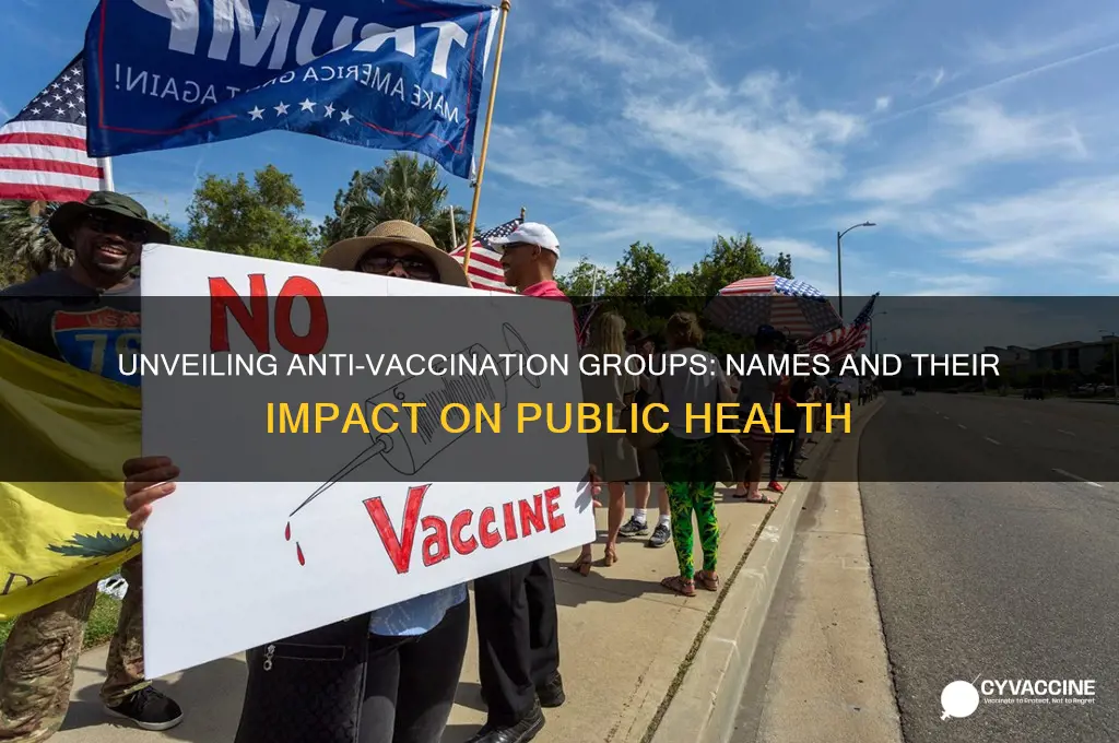 what are the names of some anti vaccination organizations