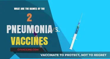 Two Essential Pneumonia Vaccines: Names and Key Information Explained