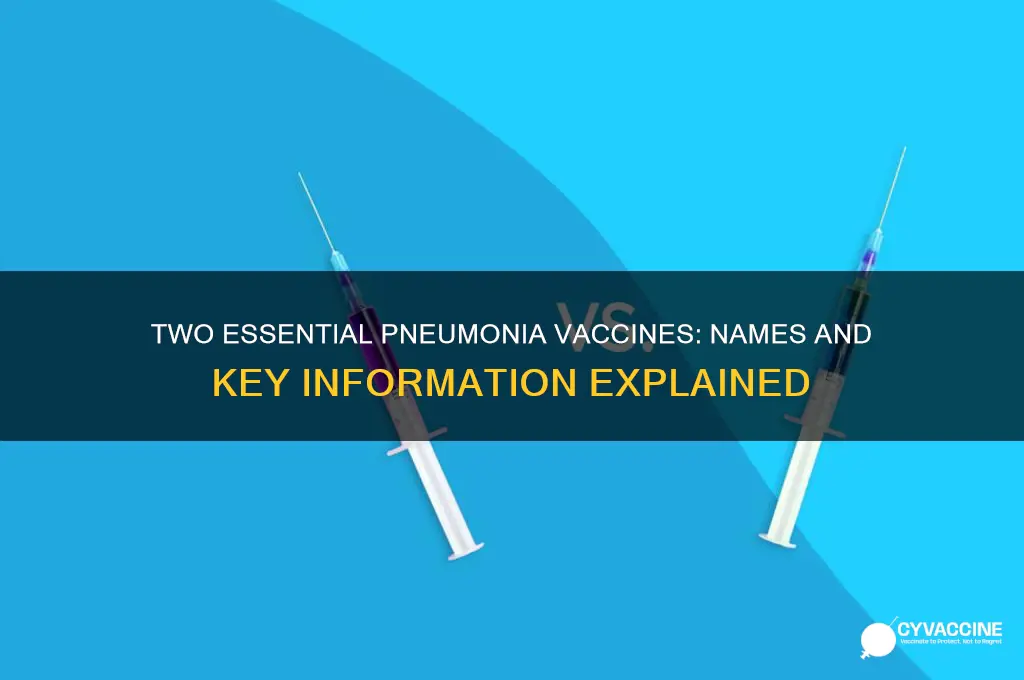 what are the names of the 2 pneumonia vaccines
