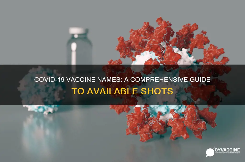 what are the names of the covid19 vaccines