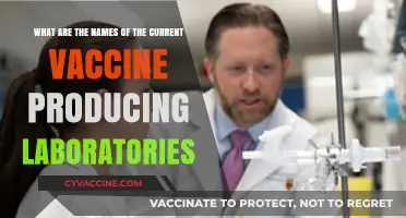 Leading Labs Producing COVID-19 Vaccines: A Comprehensive List