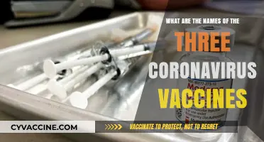 Three Leading Coronavirus Vaccines: Names, Developers, and Key Details