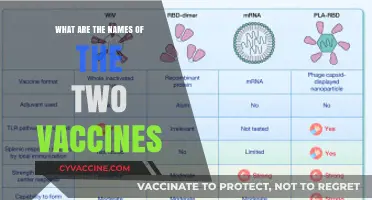 Two Leading Vaccines: Names, Developers, and Key Differences Explained