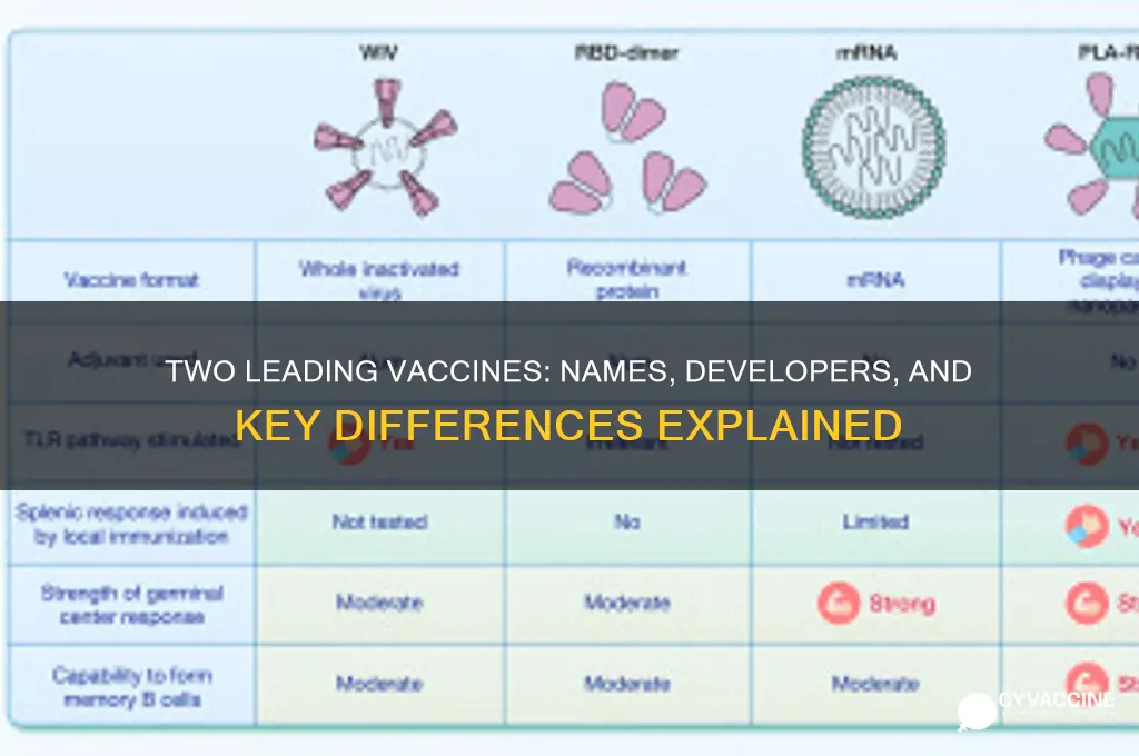what are the names of the two vaccines