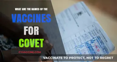 COVID-19 Vaccines: A Comprehensive List of Approved Immunizations