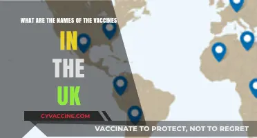 UK Vaccines: A Comprehensive List of Approved Immunizations