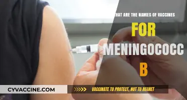 Understanding Meningococcal B Vaccines: Key Names and Their Importance