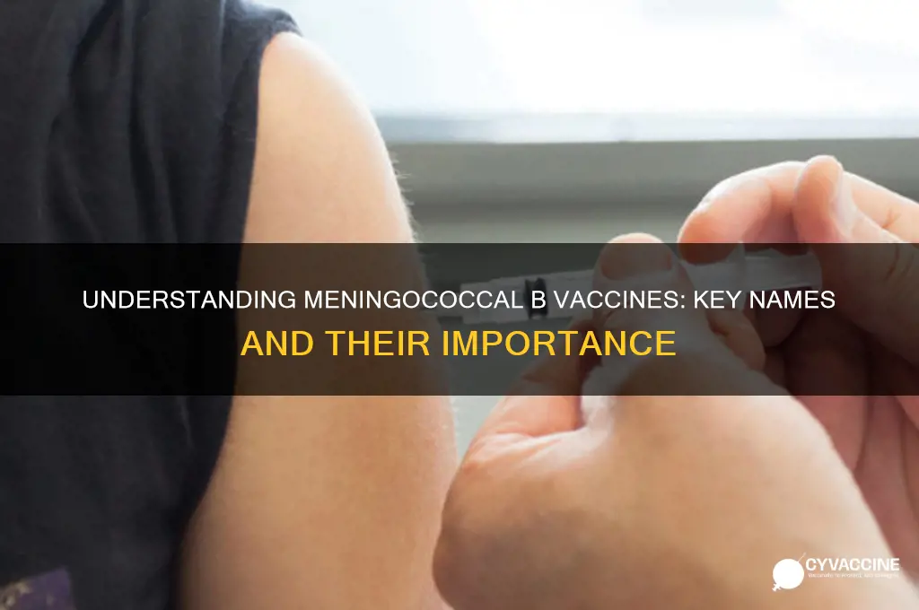 what are the names of vaccines for meningococcal b