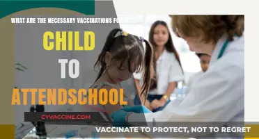 Essential School Vaccinations: Protecting Your Child's Health and Education