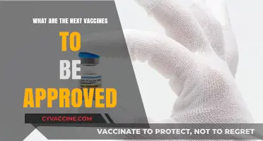 Upcoming Vaccine Approvals: What’s Next in Global Health Protection?