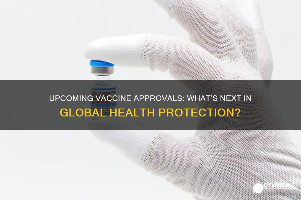 what are the next vaccines to be approved