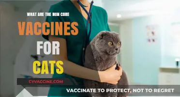 Understanding Non-Core Vaccines for Cats: Essential or Optional?