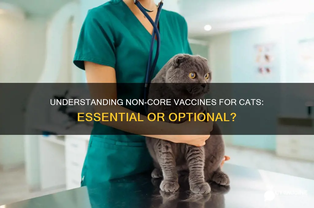 what are the non core vaccines for cats