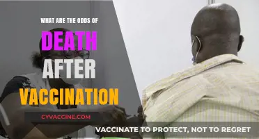 Understanding the Rare Risks: Death Odds Post-Vaccination Explained
