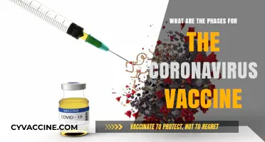 Understanding the Key Phases of Coronavirus Vaccine Development and Approval