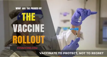 Understanding the Phases of the Global Vaccine Rollout Plan