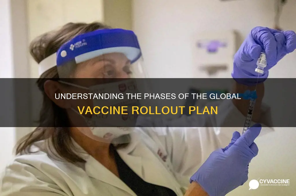 what are the phases of the vaccine rollout