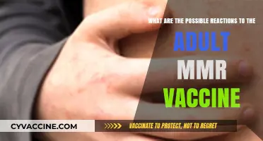 Adult MMR Vaccine Reactions: What to Expect and How to Manage