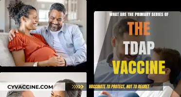 Understanding the Tdap Vaccine: Primary Series and Essential Protection