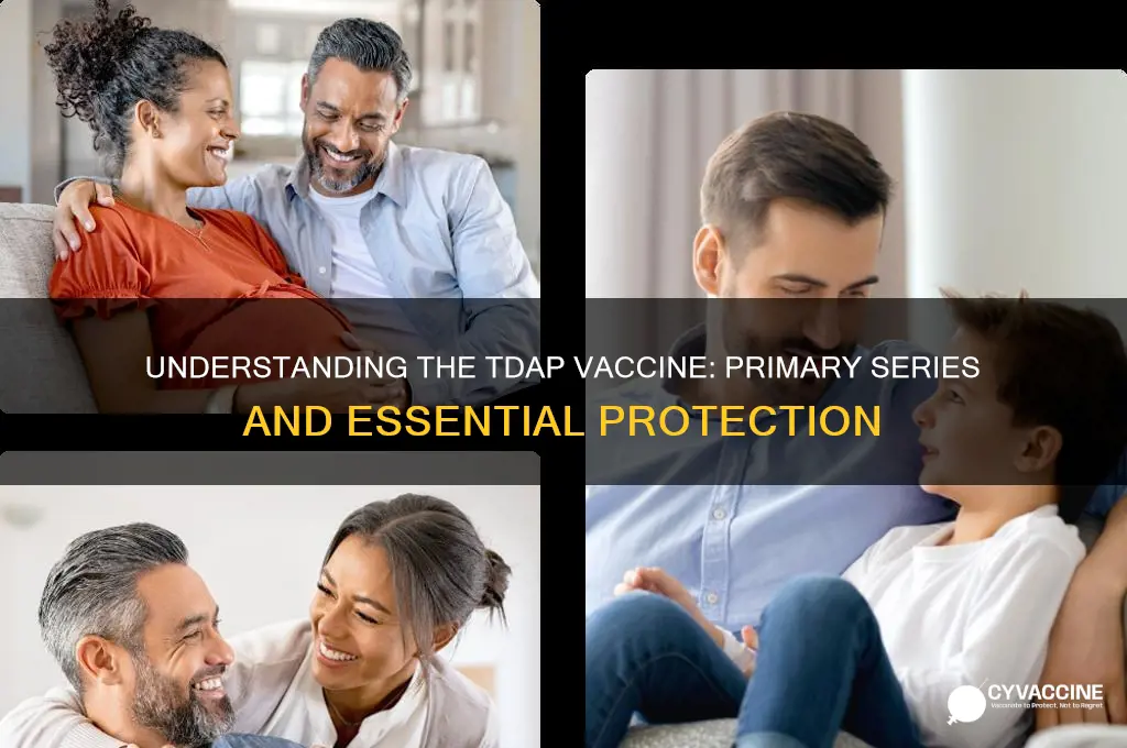 what are the primary series of the tdap vaccine