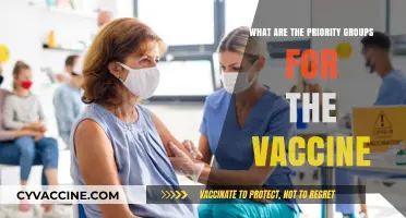 Vaccine Priority Groups: Who Gets the Shot First and Why?