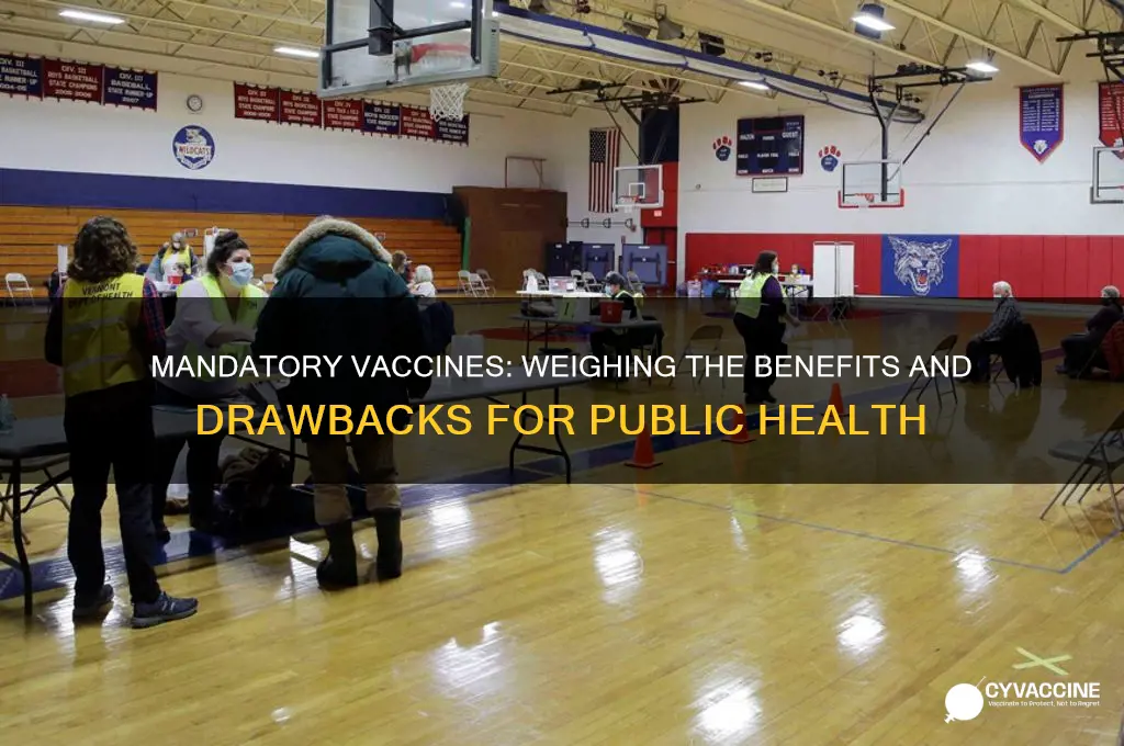 what are the pros and con of mandatory vaccines