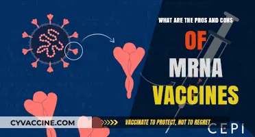 mRNA Vaccines: Unpacking the Benefits and Potential Drawbacks