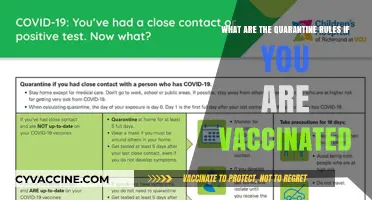 Vaccinated and Traveling: Understanding Quarantine Rules Post-Vaccination