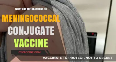 Meningococcal Conjugate Vaccine Reactions: Safety, Side Effects, and Public Response