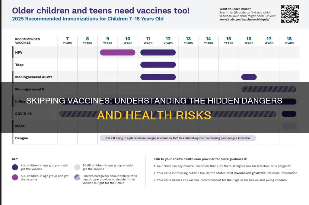 what are the risks of delaying or skipping vaccines