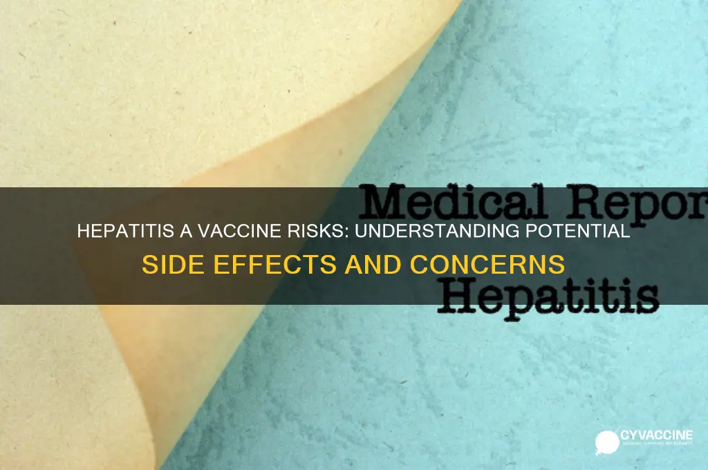 what are the risks of hepatitis a vaccine