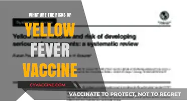 Yellow Fever Vaccine: Understanding Potential Risks and Side Effects