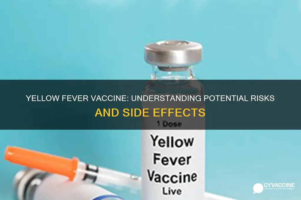 what are the risks of yellow fever vaccine