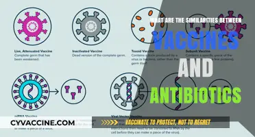 Vaccines vs. Antibiotics: Uncovering Shared Mechanisms in Modern Medicine