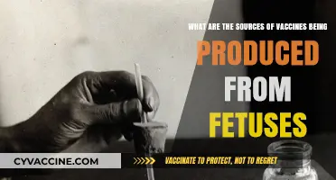 Vaccine Origins: Exploring Fetal Tissue Sources in Production