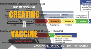 From Lab to Injection: The Comprehensive Stages of Vaccine Creation