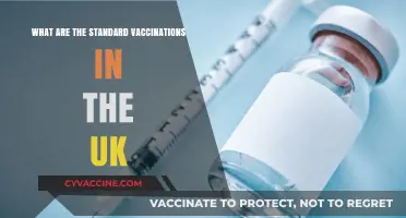 Essential UK Vaccinations: A Guide to Standard Immunisations for All Ages
