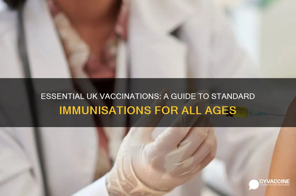 what are the standard vaccinations in the uk
