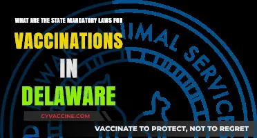 Delaware's Mandatory Vaccination Laws: What You Need to Know