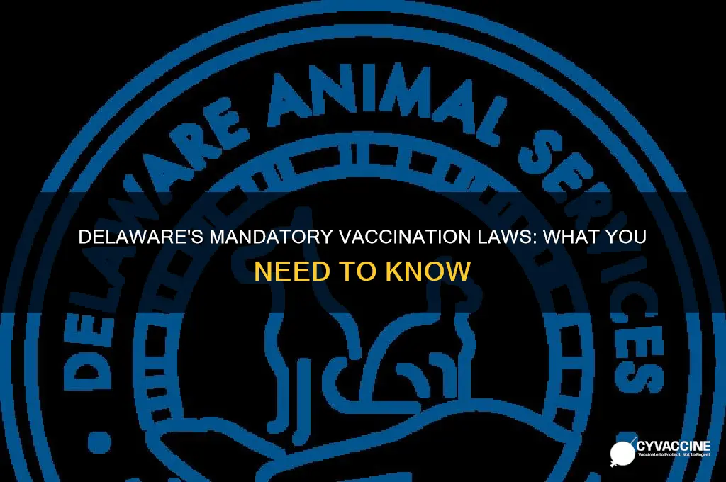 what are the state mandatory laws for vaccinations in delaware