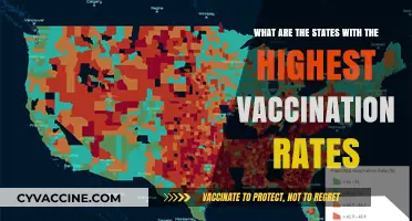 Top U.S. States Leading in COVID-19 Vaccination Rates Revealed
