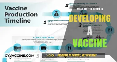 From Lab to Injection: The Critical Steps in Vaccine Development