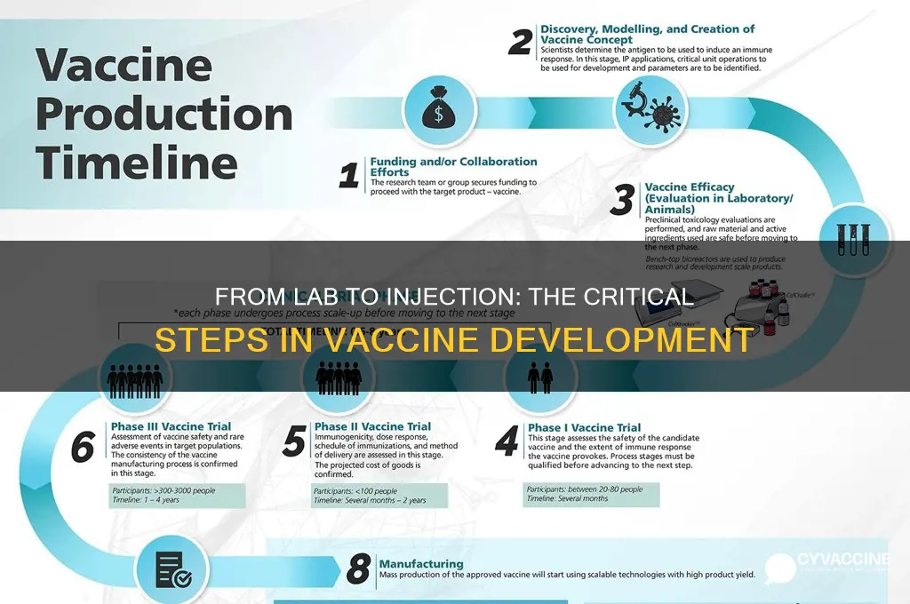 what are the steps in developing a vaccine