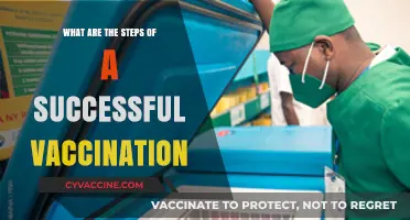 Mastering Vaccination Success: Essential Steps for Effective Immunization