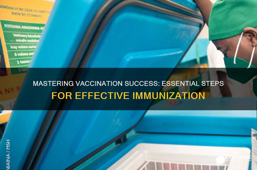 what are the steps of a successful vaccination