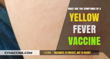Yellow Fever Vaccine Side Effects: Recognizing Common Symptoms and Reactions